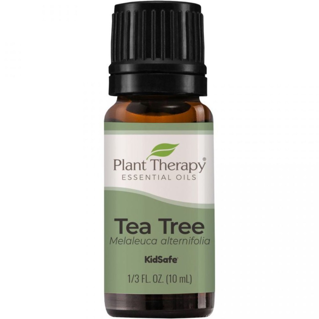 Plant Therapy - Tea Tree Essential Oil - 100% Pure, Undiluted, Therapeutic Grade, 10 mL